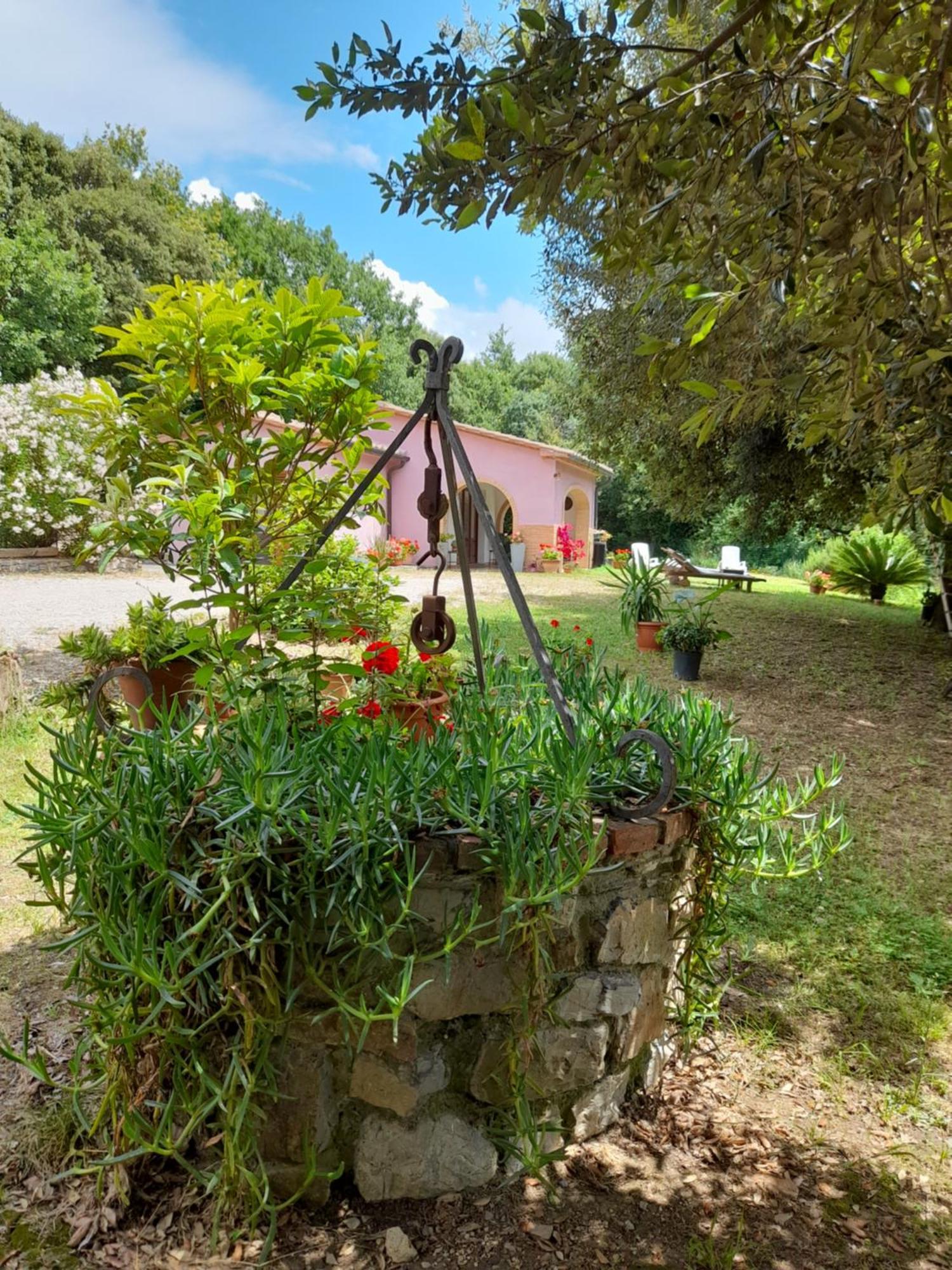 Villino Rosi Villa Monteverdi Marittimo Exterior photo